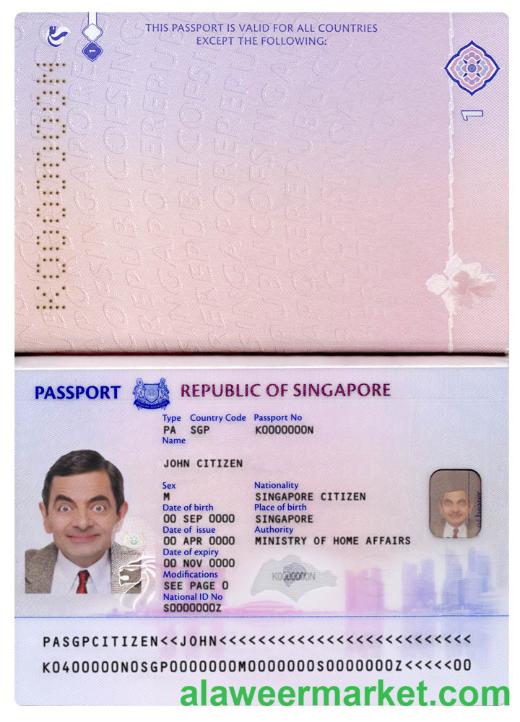 Singapore new pass (2017+)